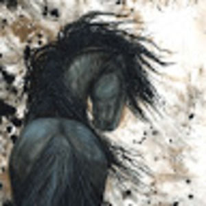 Meet your Posher, Art of amylyn